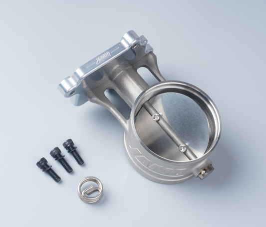 Cast 304 stainless steel BMW valve assembly with spring and mounting screws
